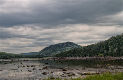 Parc du Bic copy.jpg