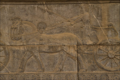 Persepoli 14 copy.jpg