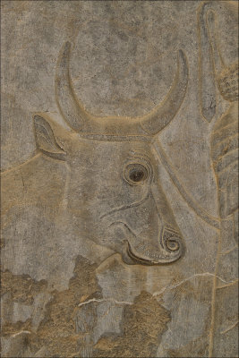 Persepoli 23 copy.jpg
