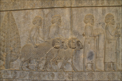 Pesepoli 24 copy.jpg