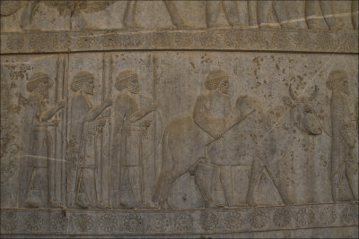 Persepoli28 copy.jpg
