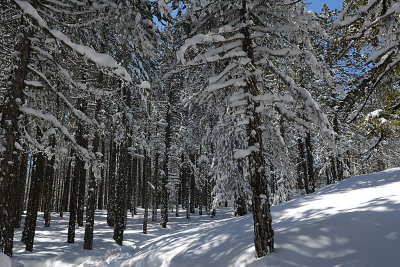DSC_3005.jpg