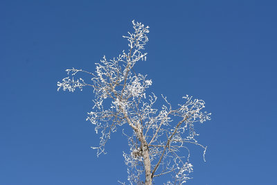 DSC_3012.jpg