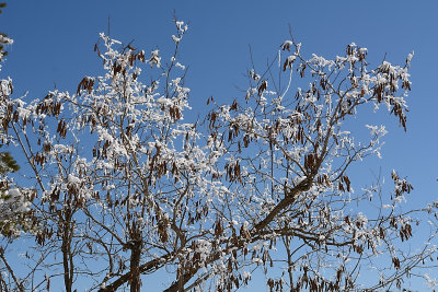DSC_3015.jpg