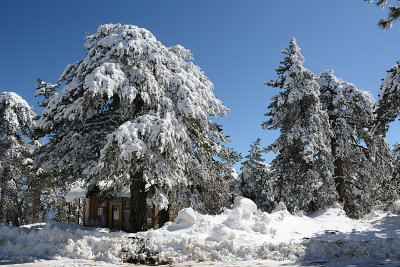 DSC_3020.jpg