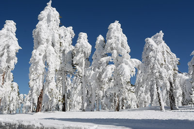 DSC_3038.jpg