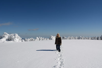 DSC_3074.jpg