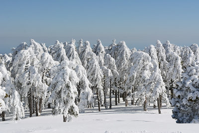 DSC_3079.jpg