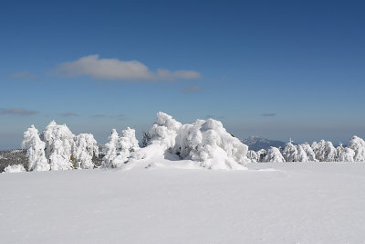 DSC_3094.jpg