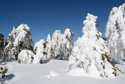 DSC_3105.jpg