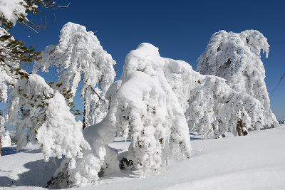 DSC_3114.jpg