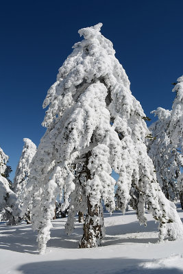 DSC_3119.jpg