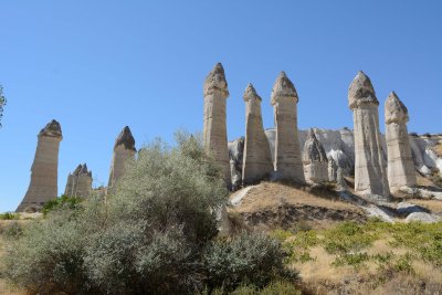 DSC_0871.jpg