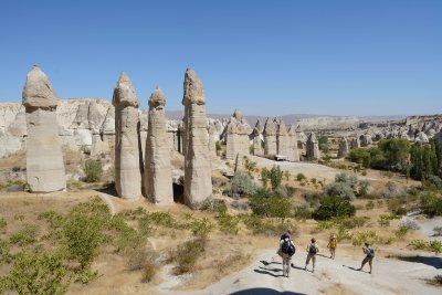 DSC_0876.jpg