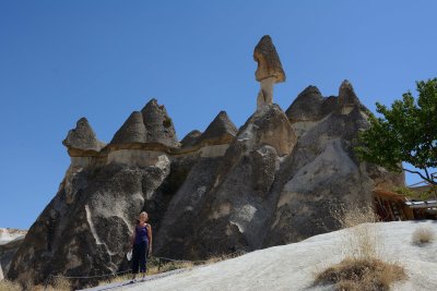 DSC_0896.jpg