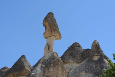 DSC_0897.jpg