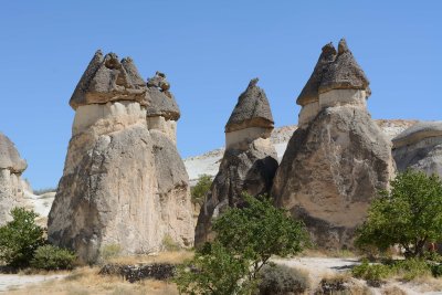 DSC_0898.jpg