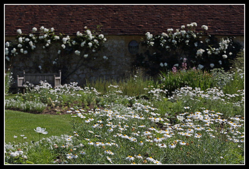 White Garden, Barrington Court