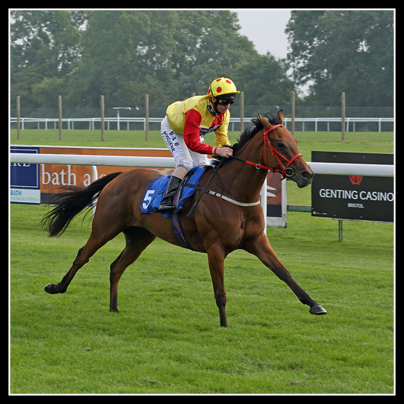 Out of the saddle