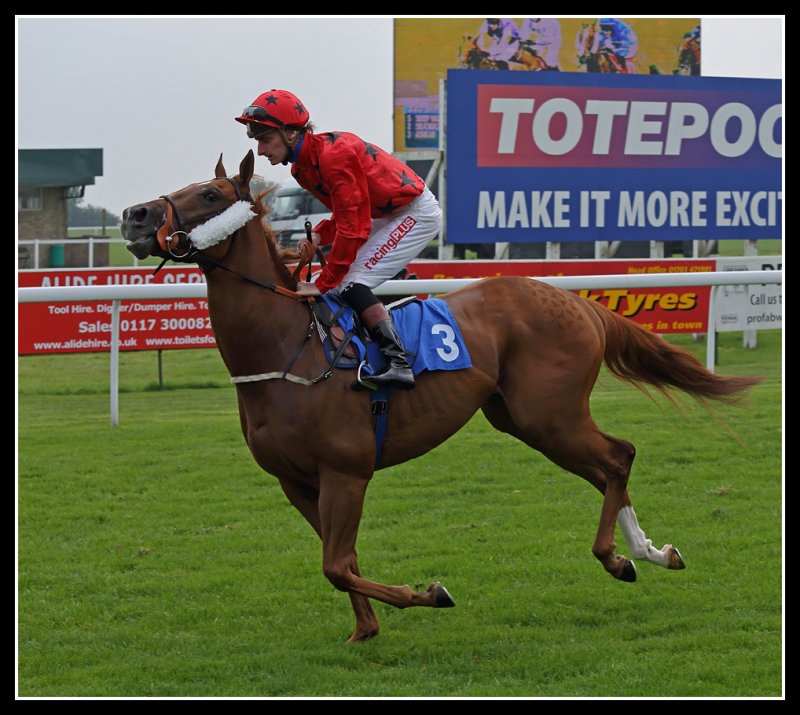 Horse and Jockey 