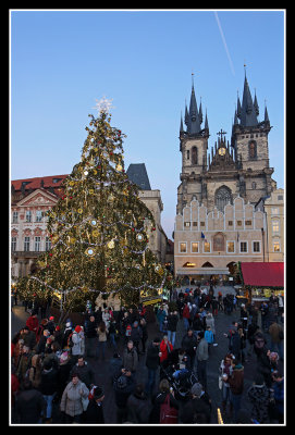 Old Town Square Xmas Tree, Prague