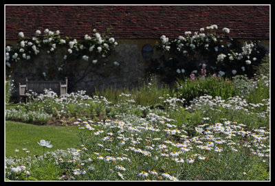 White Garden, Barrington Court