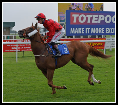 Horse and Jockey 