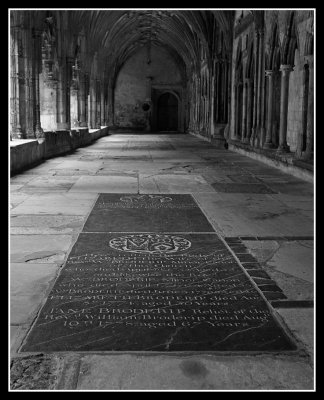 Canterbury Cathedral Cloisters 