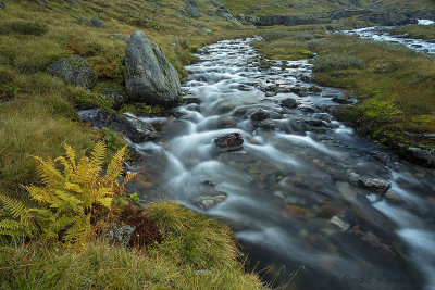 Hardangervidda NP 