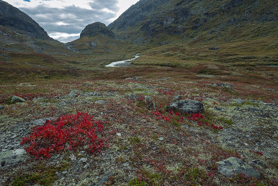 Sognefjellsvegen