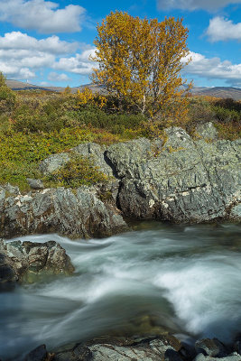 Dovrefjell 