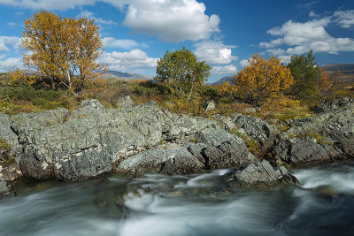 Dovrefjell 