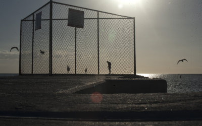 Cage