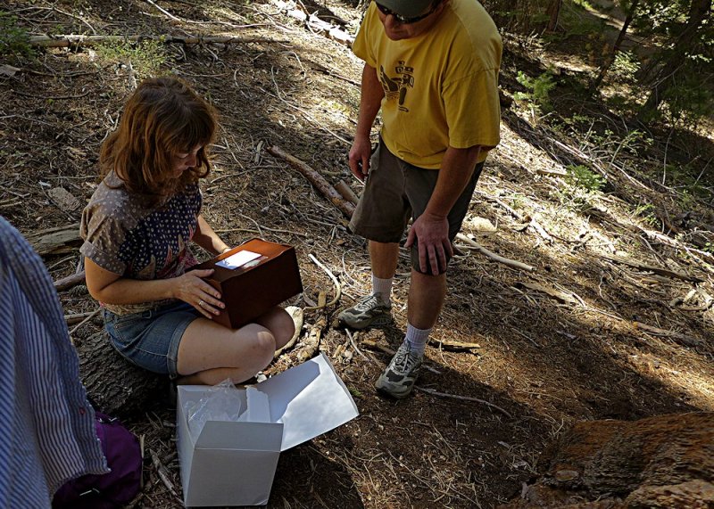 Removing the Ashes - 3.jpg