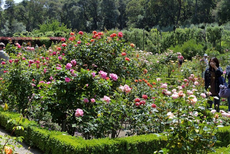 Filoli Gardens - 10.jpg