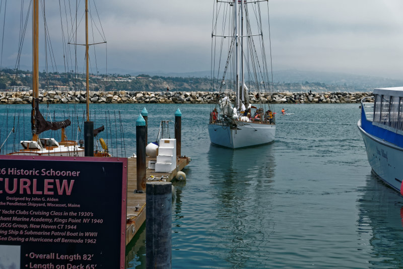 P1020713_DxO.jpg