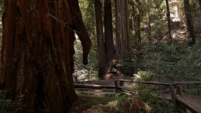 Armstrong Grove - 15.jpg