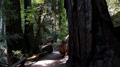 Armstrong Grove - 17.jpg