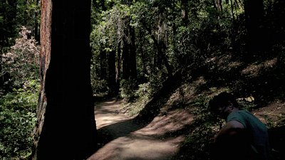 Armstrong Grove - 20.jpg