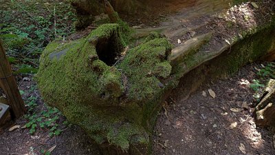 Armstrong Grove - 25.jpg