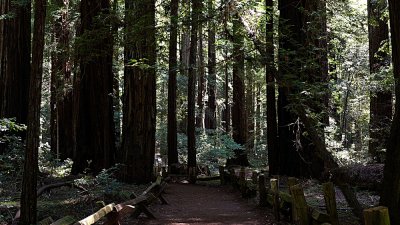 Armstrong Grove - 27.jpg