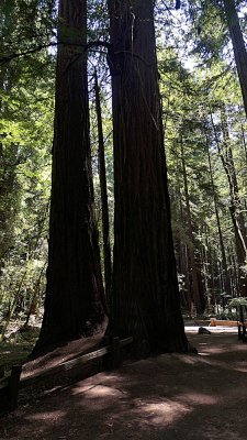 Armstrong Grove - 28.jpg