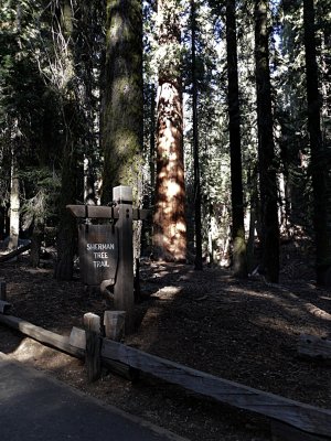 Sherman Grove Trail.jpg