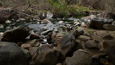 Elfin Forest Jan 20014 - 16.jpg