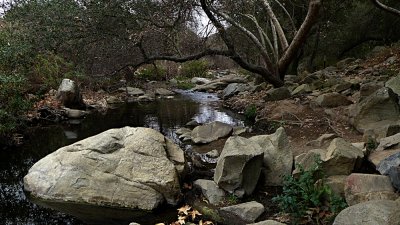 Elfin Forest Jan 20014 - 41.jpg