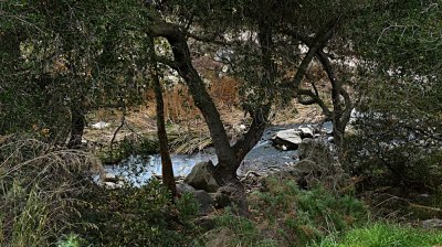Elfin Forest Jan 20014 - 44.jpg