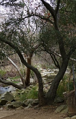 Elfin Forest Jan 20014 - 47.jpg
