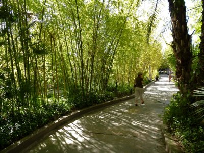 Bamboo Path With Nancy.jpg