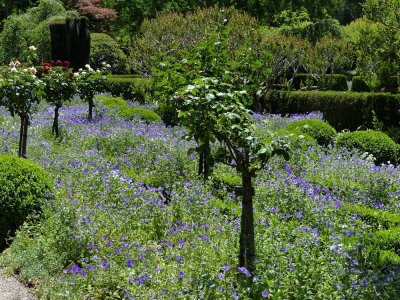 Filoli Gardens - 7.jpg
