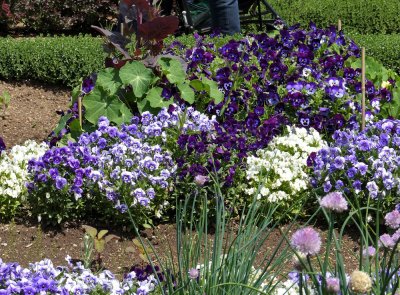 Filoli Gardens - 15.jpg